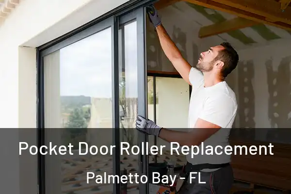Pocket Door Roller Replacement Palmetto Bay - FL